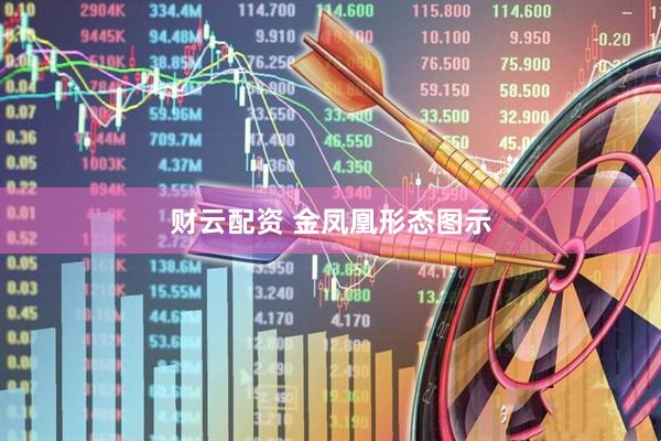 财云配资 金凤凰形态图示