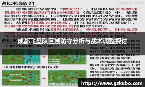 成都飞盘队区域防守分析与战术调整探讨