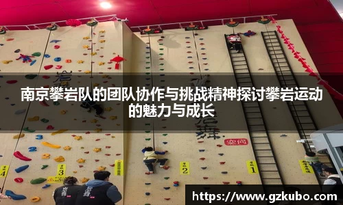 南京攀岩队的团队协作与挑战精神探讨攀岩运动的魅力与成长